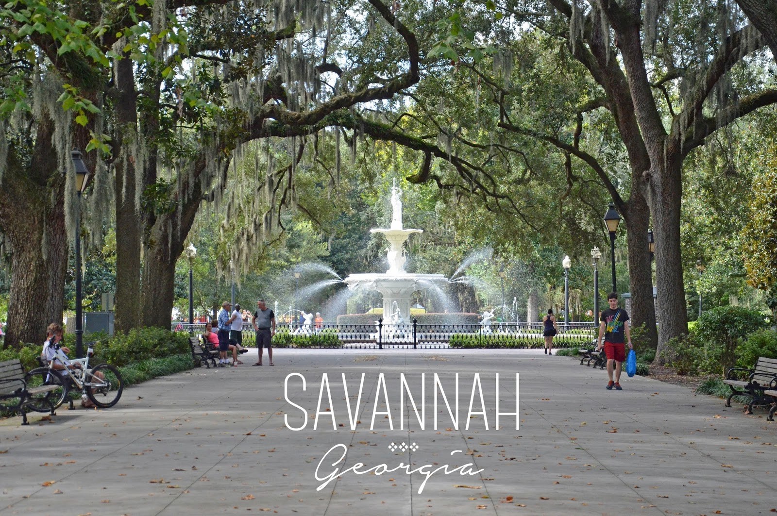 visit savannah georgia in november